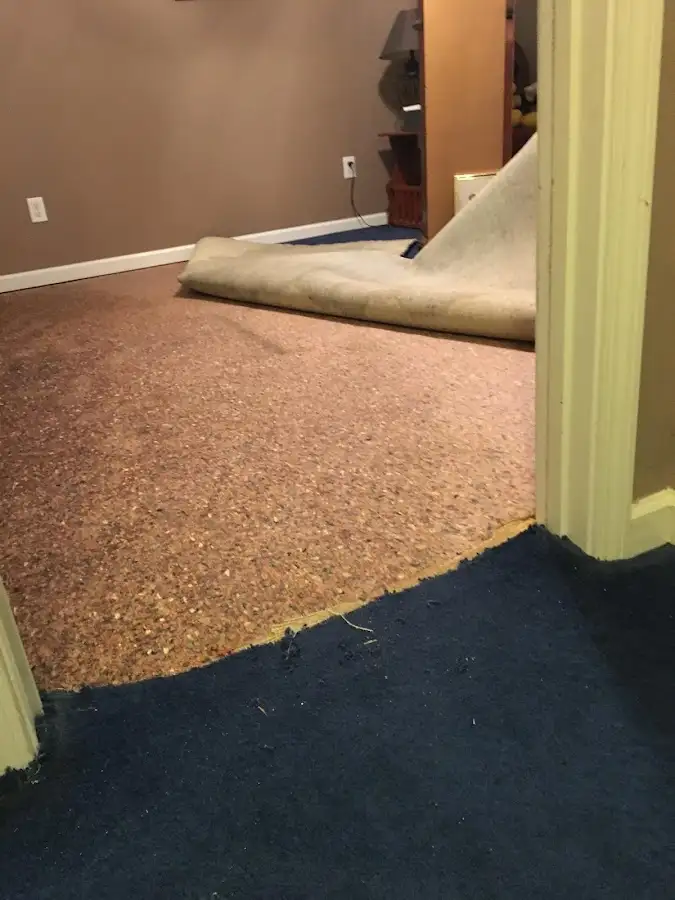 Carpet pad removal revealing water damage during Water Mitigation Services in Cleveland